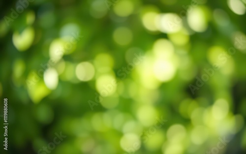 Soft sunlight filters through the leaves, creating a serene bokeh effect in a lush green environment