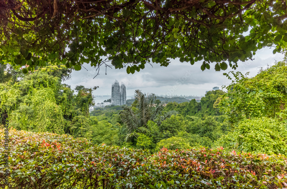 Fototapeta premium View of the Singapore skyline from the forest on Mount Faber