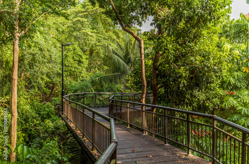 Photography The bridge on the walk in the forest on Mount Faber in Singapore