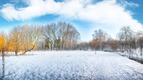 Breathtaking landscape with snow-covered trees in the city park.