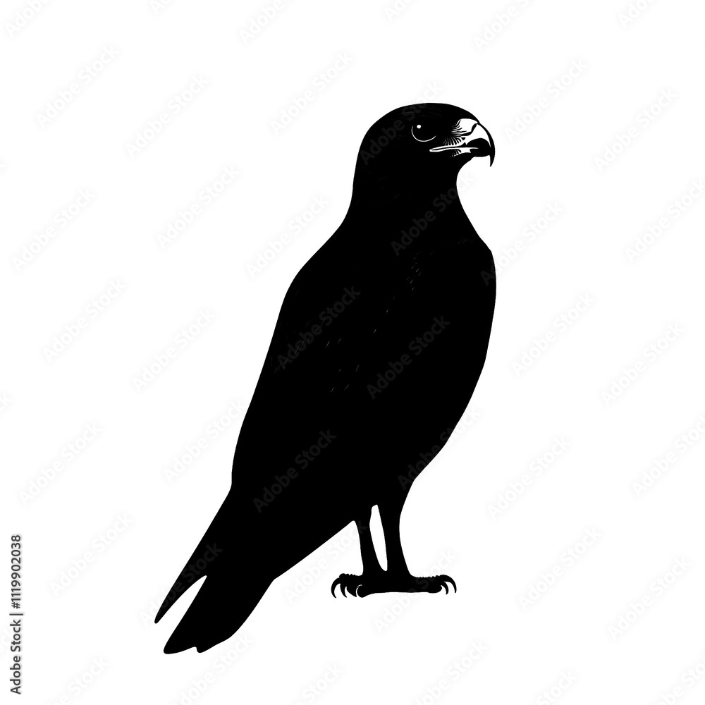 Fototapeta premium 2D full body illustration full body shot of a hawk silhouette isolated on a white transparent background
