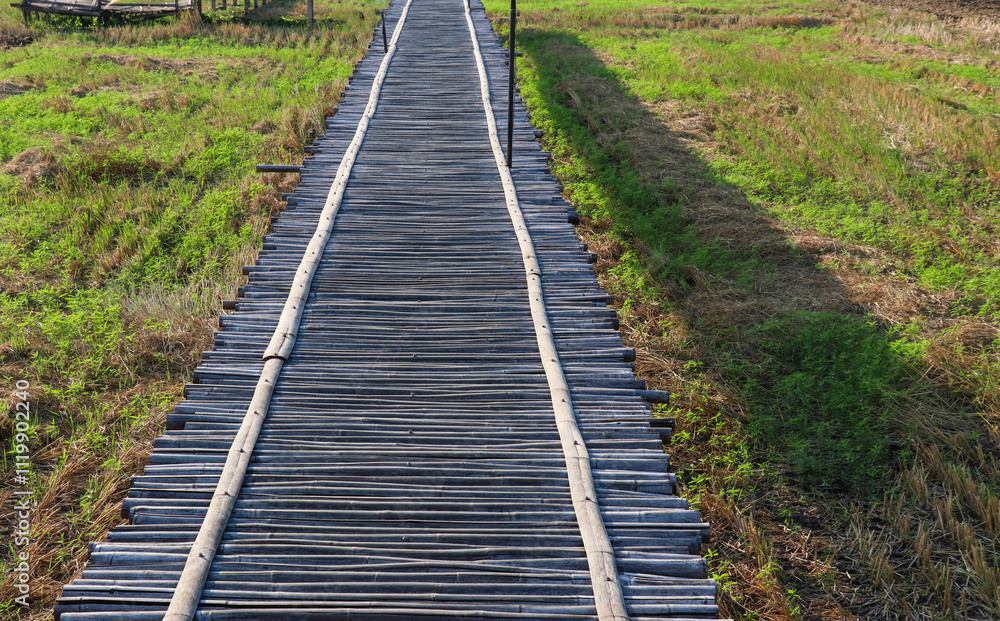 Obraz premium railway in the forest