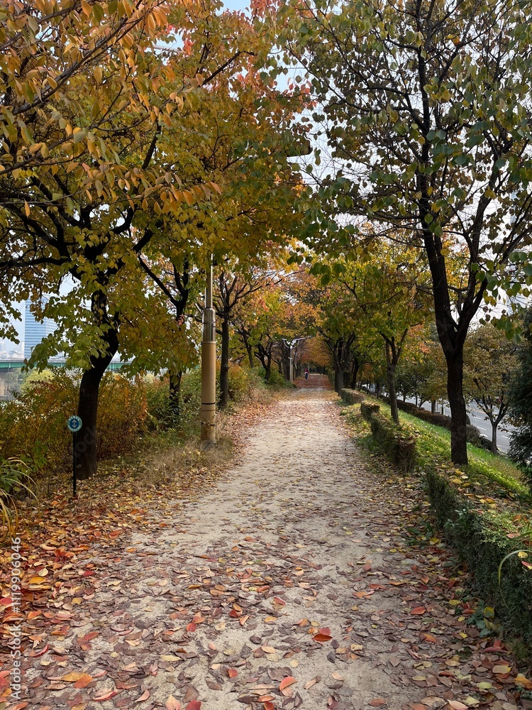 Naklejka premium 가을