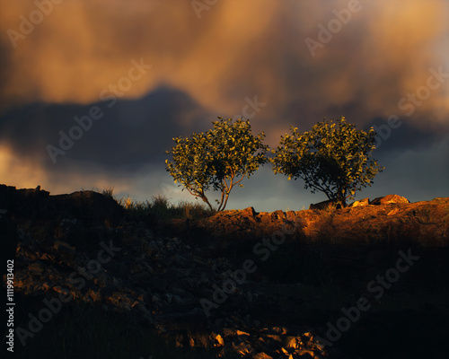 Obraz na płótnie Quarry slate with some trees under a cloudy sky during sunset. 3D render. w salonie