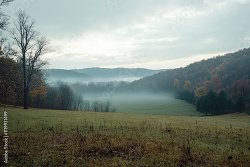 Peaceful Foggy Field with Rolling Hills at Dawn