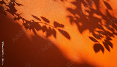 shadow of leaves on an orange wall