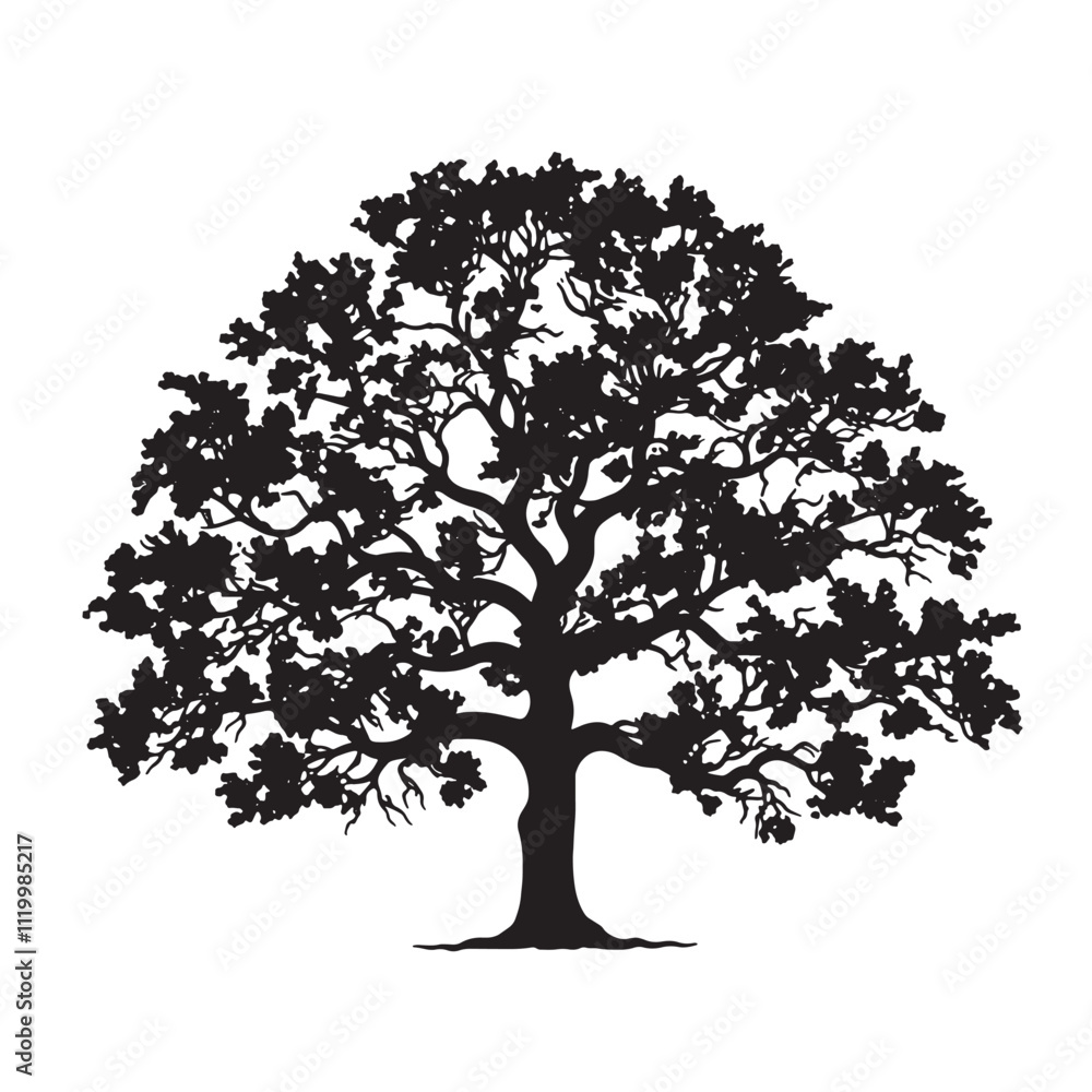 Obraz premium Sunset Behind a Large Oak Tree Silhouette
