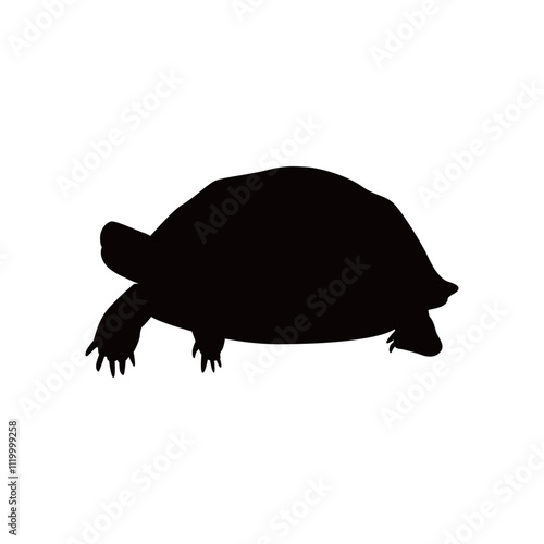 tortoise silhouette  collection isolated black on white background vector illustration