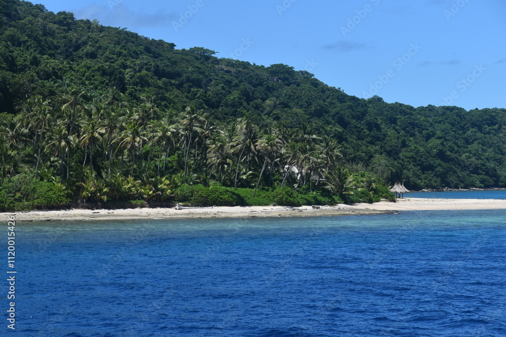 A lush green tropical paradise island with palm trees and white sandy beaches on Fiji in the Pacific Ocean A lush green tropical paradise island with palm trees and white sandy beaches on Fiji in the Pacific Ocean