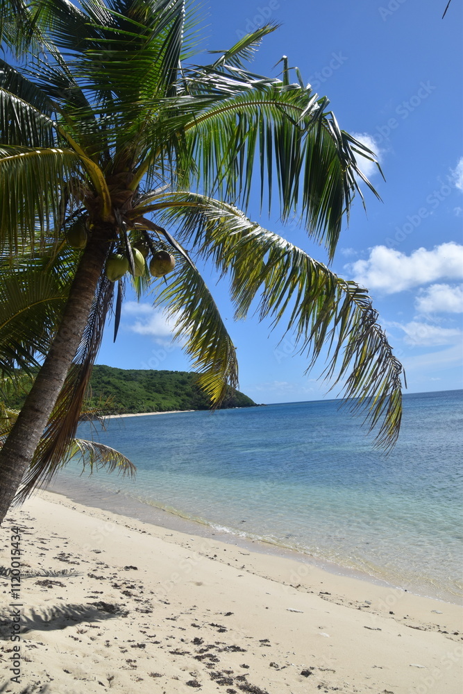 Fototapeta premium A lush green tropical paradise island with palm trees and white sandy beaches on Fiji in the Pacific Ocean