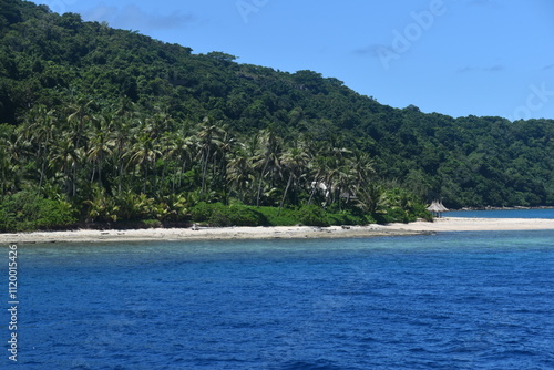 A lush green tropical paradise island with palm trees and white sandy beaches on Fiji in the Pacific Ocean photo