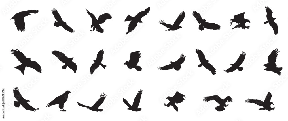 Eagle icons flying with spread wings. Editable Vector birds of prey or predatory birds. Raptor eagle, falcon or hawk. Eagles Silhouette flying. Eagle icons flying with spread wings. Editable Vector birds of prey or predatory birds. Raptor eagle, falcon or hawk. Eagles Silhouette flying.