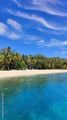 The green palm trees and mangroves along the turquoise Pacific Ocean at a paradise island in Fiji
