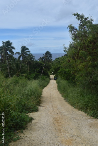 The turquoise blue Pacific Ocean and green lush island landscapes of Polynesian Tonga