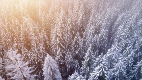 It's a winter wonderland. Flying over a fresh snow covered forest in Oregon