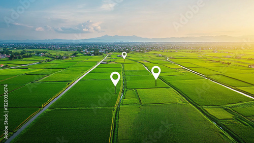 Aerial view of lush green rice fields with location pins marking points of interest. serene landscape showcases beauty of rural agriculture and nature