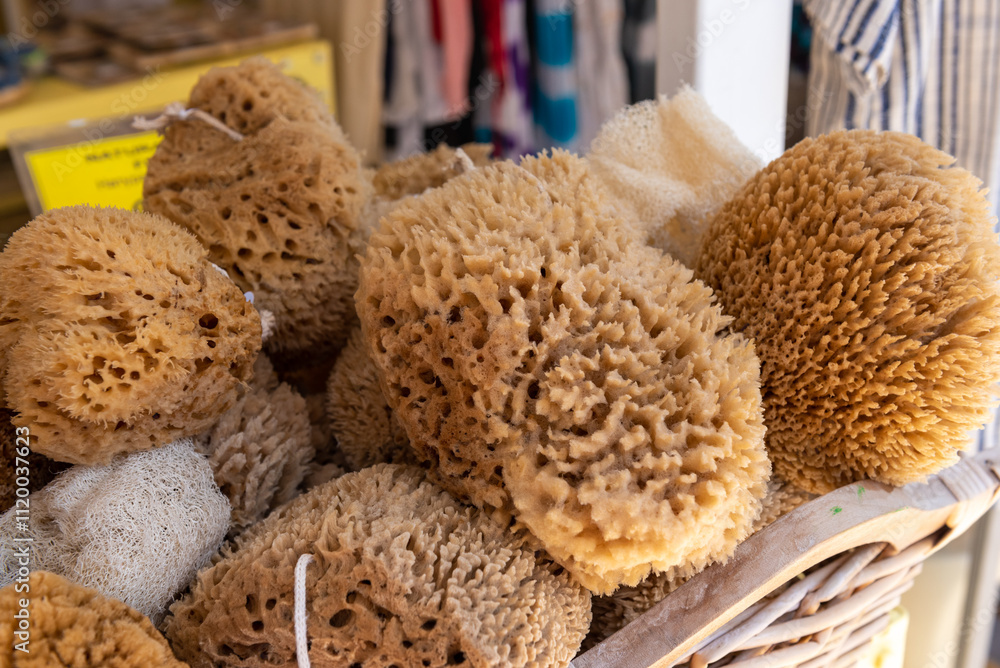 Natural sponges from Symi island. Greece