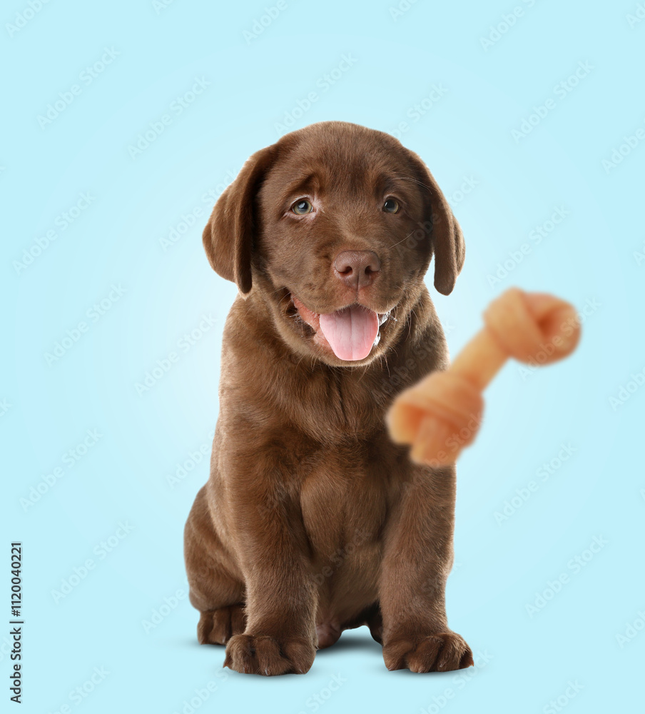 Cute puppy and flying chew bone on light blue background. Pet care Cute puppy and flying chew bone on light blue background. Pet care
