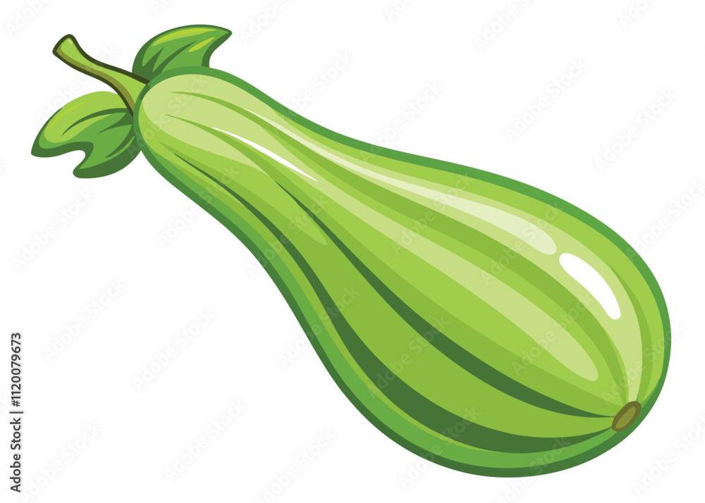 bottle-gourd-on-white-background.eps bottle-gourd-on-white-background.eps