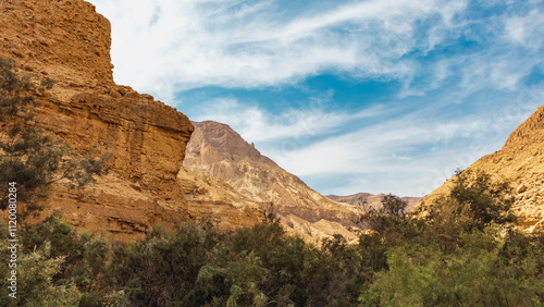 Wadi Arugot National Park is a desolate rocky landscape