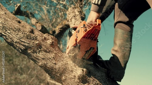 Chainsaw cutting wood. Man carving wood with a elettric saw. photo