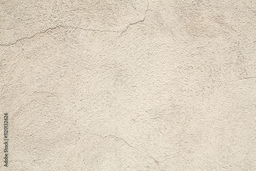 Texture of an Ancient Plastered Wall