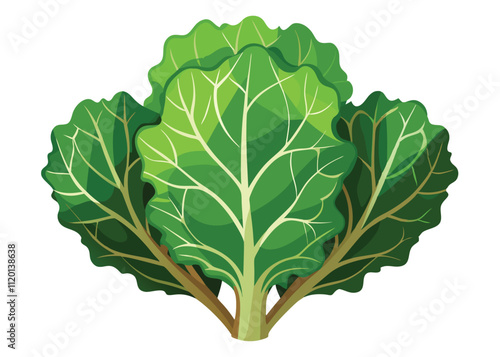 kale-----on-white-background.eps