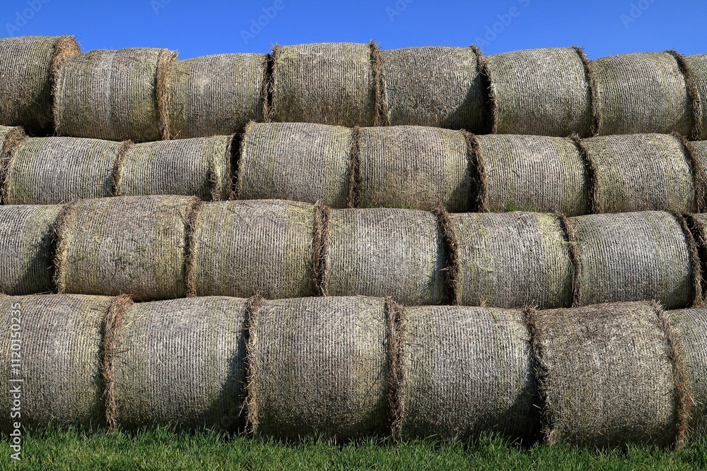 Obraz premium Bale.