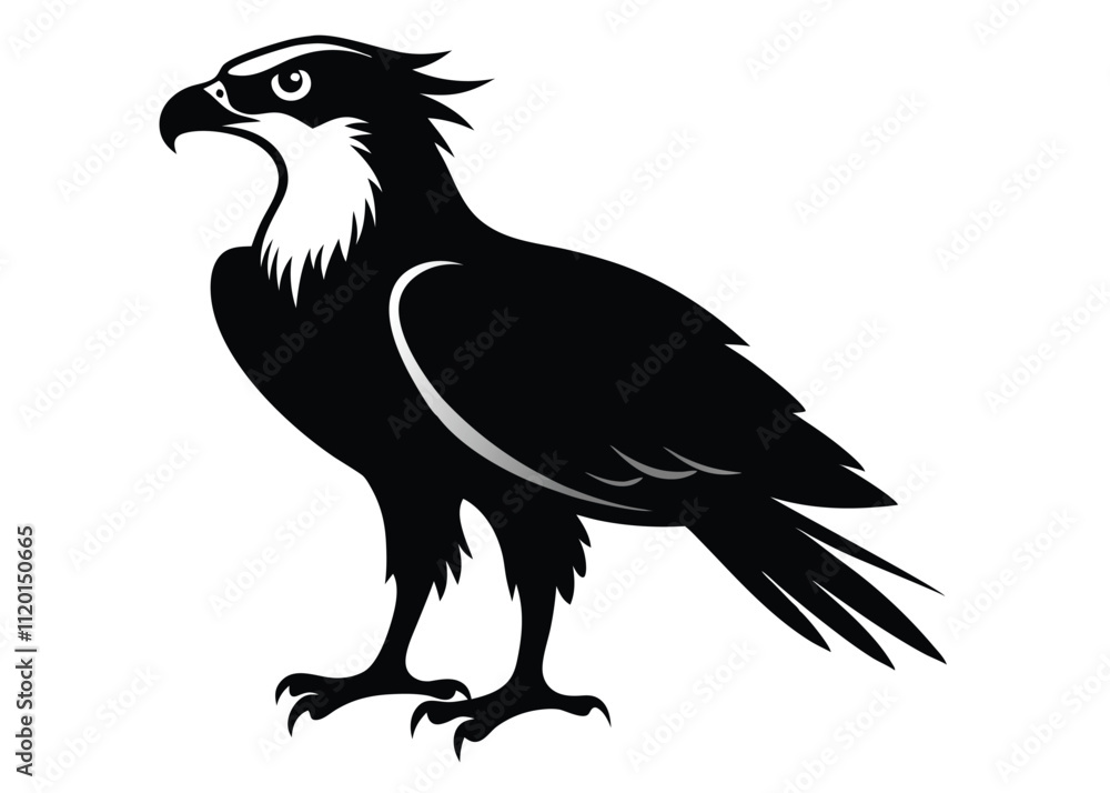 Obraz premium ospreys--silhouette--on-white-background.eps