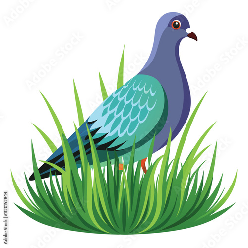 pigeon-long-grass-white-background.eps photo