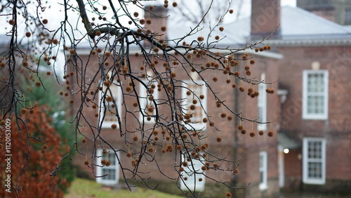 Wallpaper Mural The houses view located in the USA town or countryside
 Torontodigital.ca