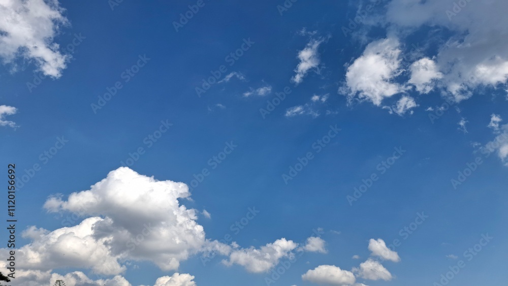 Stillness in Blue: A Calm Afternoon
Stillness in Blue: A Calm Afternoon