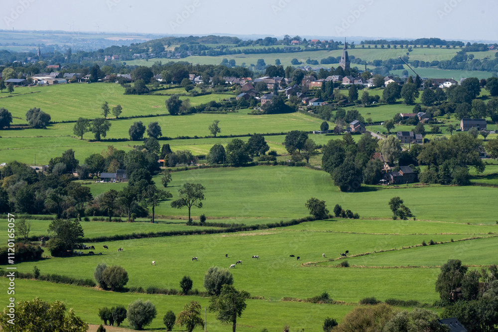 Obraz premium landscape in Wallonie,Belgium