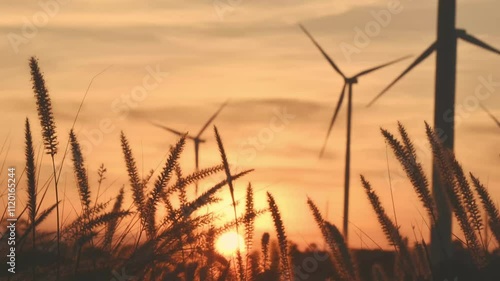 sunset in the field. Silhouette clip, grass and windmills during sunset