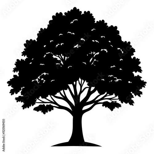 Black Silhouette Oak Tree Vector on White Background