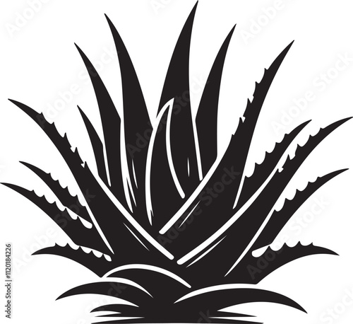  Aloe Vera Silhouette Vector Illustrations