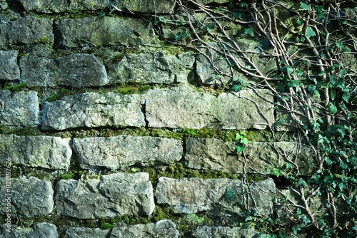 Rustikale Trockenmauer bedeckt mit grünem Efeu. Natürliche Textur und Struktur, ideal als Hintergrund für Präsentationen, Werbung und Banner. Schöne Verbindung von Natur und Architektur