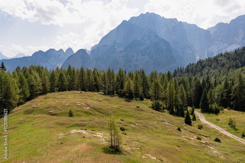 Scenic hiking path through lush meadow with view of majestic mountains peaks Julian Alps in Somdogna, Friuli Venezia Giulia, Italy. Slopes covered in coniferous forest. Exploration of natural beauty photo