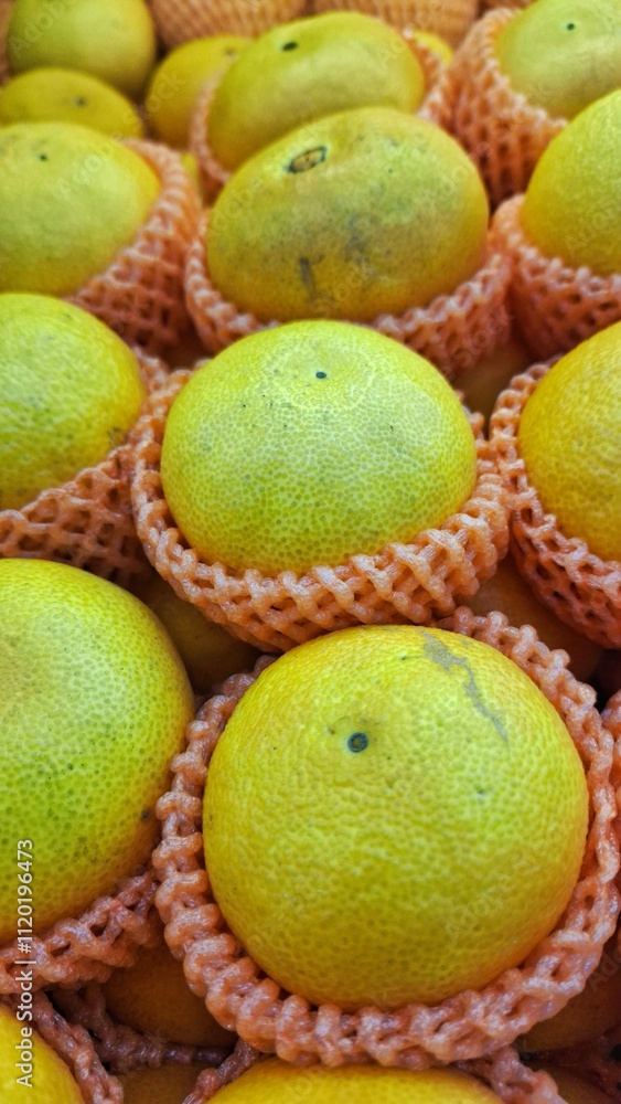 Citrus fruits. Close up of citrus fruits in group and sale in fruits market. Citrus fruits is a genus of flowering trees and shrubs. Oranges, lemons and limes. Citrus fruits. Close up of citrus fruits in group and sale in fruits market. Citrus fruits is a genus of flowering trees and shrubs. Oranges, lemons and limes.