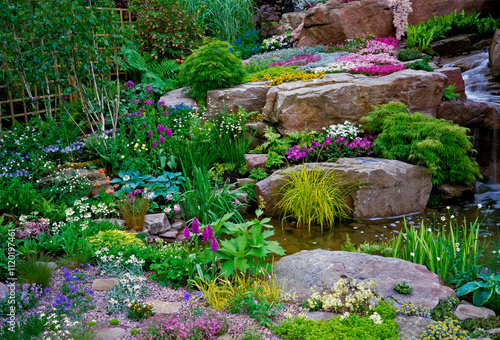 Alpine and rockery Garden with waterfall