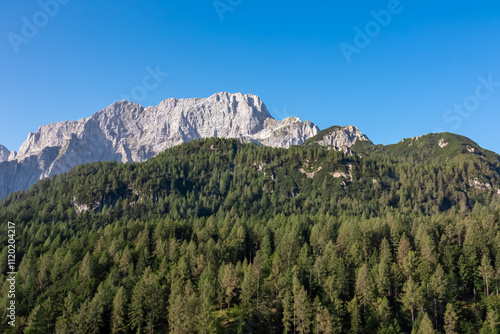 Scenic view of mountain peak Jof di Montasio surrounded by coniferous forest. Majestic ridges of Julian Alps seen from Dogna, Friuli Venezia Giulia, Italy. Wanderlust in alpine wilderness Italian Alps