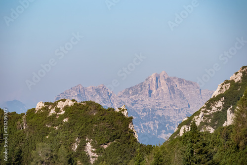 Scenic view of mountain peak Zuc dal Bor surrounded by coniferous forest. Majestic ridges of Julian Alps seen from Dogna, Friuli Venezia Giulia, Italy. Wanderlust in alpine wilderness Italian Alps photo