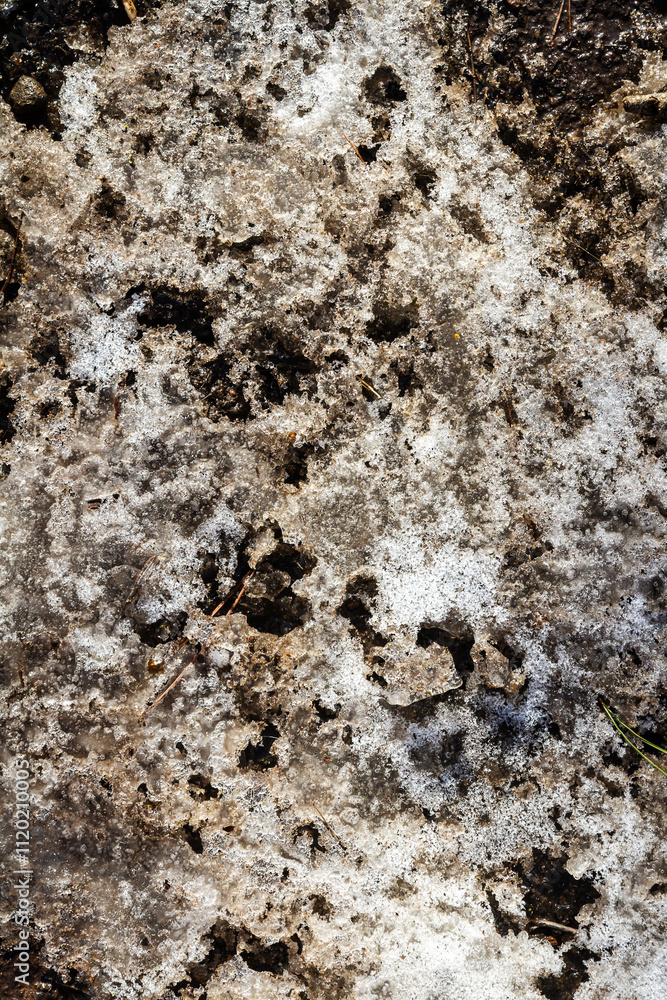 Spring ground covered with thawing snow. Melting ice on dry grass close up. Spring ground covered with thawing snow. Melting ice on dry grass close up.