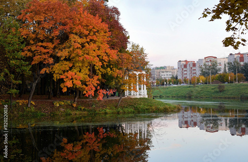autumn in the park