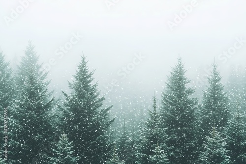 Snow-covered pine trees in a serene winter landscape