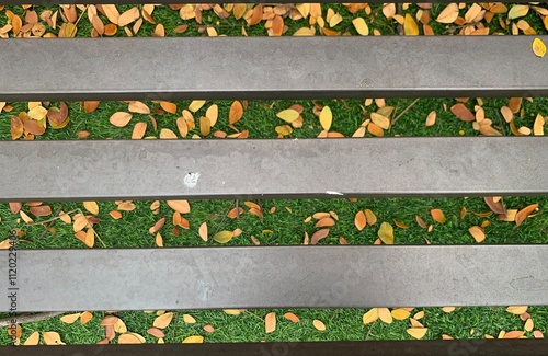 Steel fence and green ground with yellow dried leaves on ground, autumn leaves on the ground