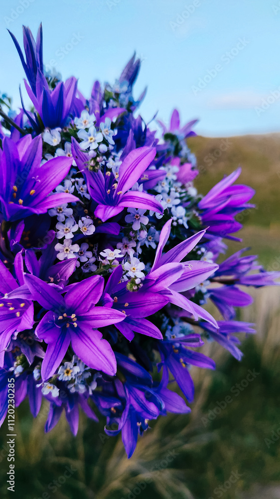 Fototapeta premium Beautiful spring purple flowers collected in a bouquet.