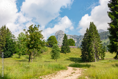 Scenic hiking trail along alpine meadow with view of cloud covered mountain peak Cima Dell'Altissimo in Brenta Dolomites, Trentino, Italy. Wanderlust in National Park Adamello Brenta. Molveno Pradel photo