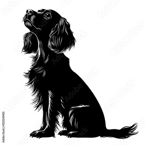 2d full body illustration full body shot of a King Charles Spaniel dog silhouette isolated on a white transparent background