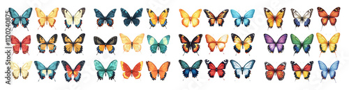 Colorful Butterflies Isolated on Clear Background